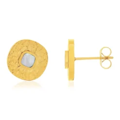 Boucles d'oreilles acier doré nacres