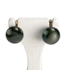 Boucles d'oreilles d'occasion or 375 jaune perle de tahiti