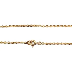 Chaîne d'occasion or 750 jaune maille forcat 47 cm