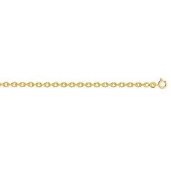 Chaîne plaqué or maille forçat 50 cm