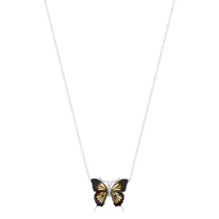 Collier argent 925 papillon ambre 42 cm