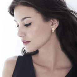 Créoles 3 ors 750 diamants
