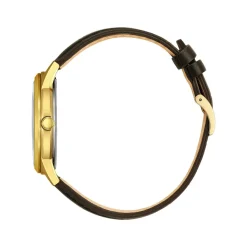 Montre CITIZEN classic elegant homme eco-drive, bracelet cuir marron